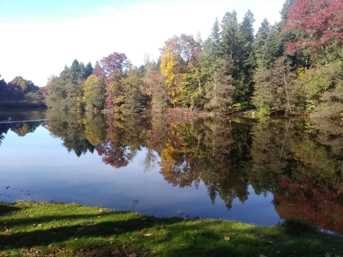 De L'arboretum Holiday home Dompierre-les-Ormes